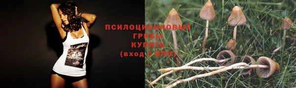 ПСИЛОЦИБИНОВЫЕ ГРИБЫ Абдулино