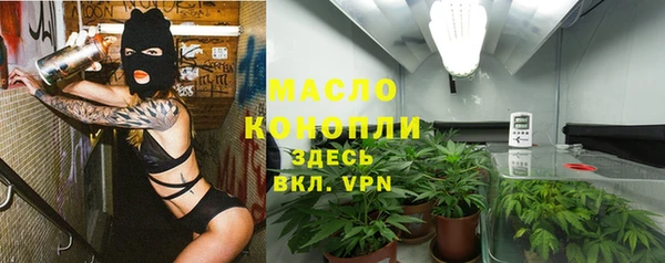 прущие грибы Заводоуковск
