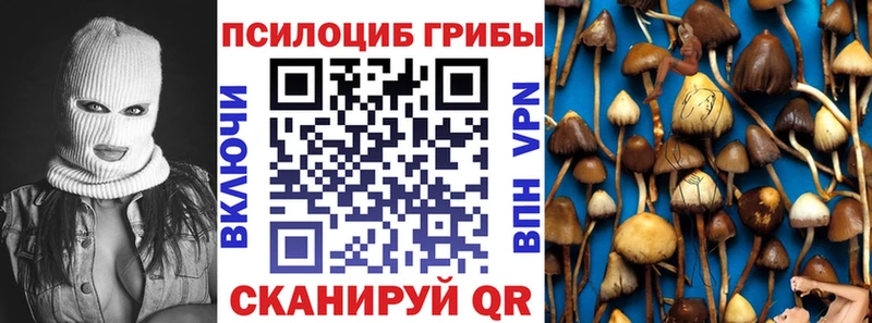 Галлюциногенные грибы Psilocybe  сколько стоит  Краснодар 